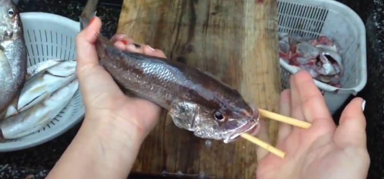 How to Gut a Fish with a Chopstick Twist